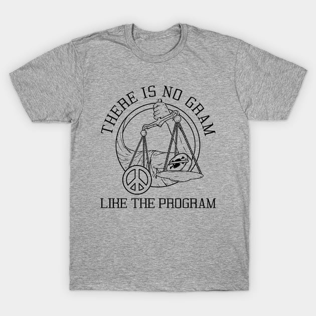 NA There Is NO GRAM Like The Program  - Narcotics Anonymous - Sobriety and Recovery T-Shirt by WaBastian